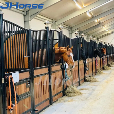 Heavy Duty European Style Horse Stable Box Mặt trước 3,6m Tuổi thọ cao