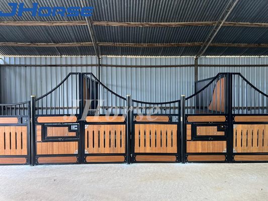 Cây thông Căn hộ ngựa châu Âu Động trong nhà