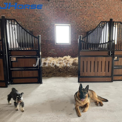 Solid Duty European Horse Barn Thiết kế nội thất sang trọng