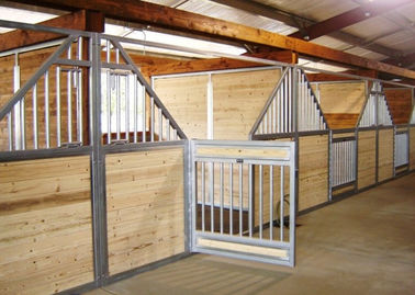 Thiết bị ổn định ngựa tùy chỉnh 50mm với ống thép mạ kẽm ổn định
