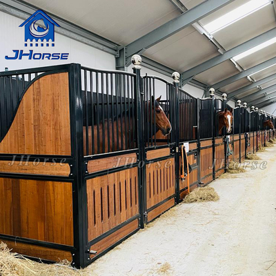 Thiết lập dễ dàng ngựa ổn định với thiết kế thực tế đẹp và swing / cửa trượt